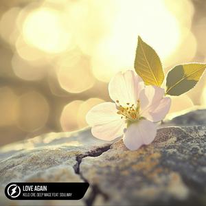 美女沙滩ⅹⅹⅹHD
