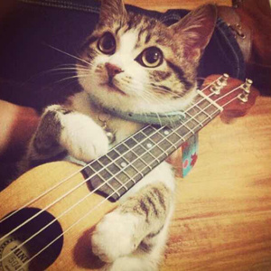 美女沙滩ⅹⅹⅹHD
